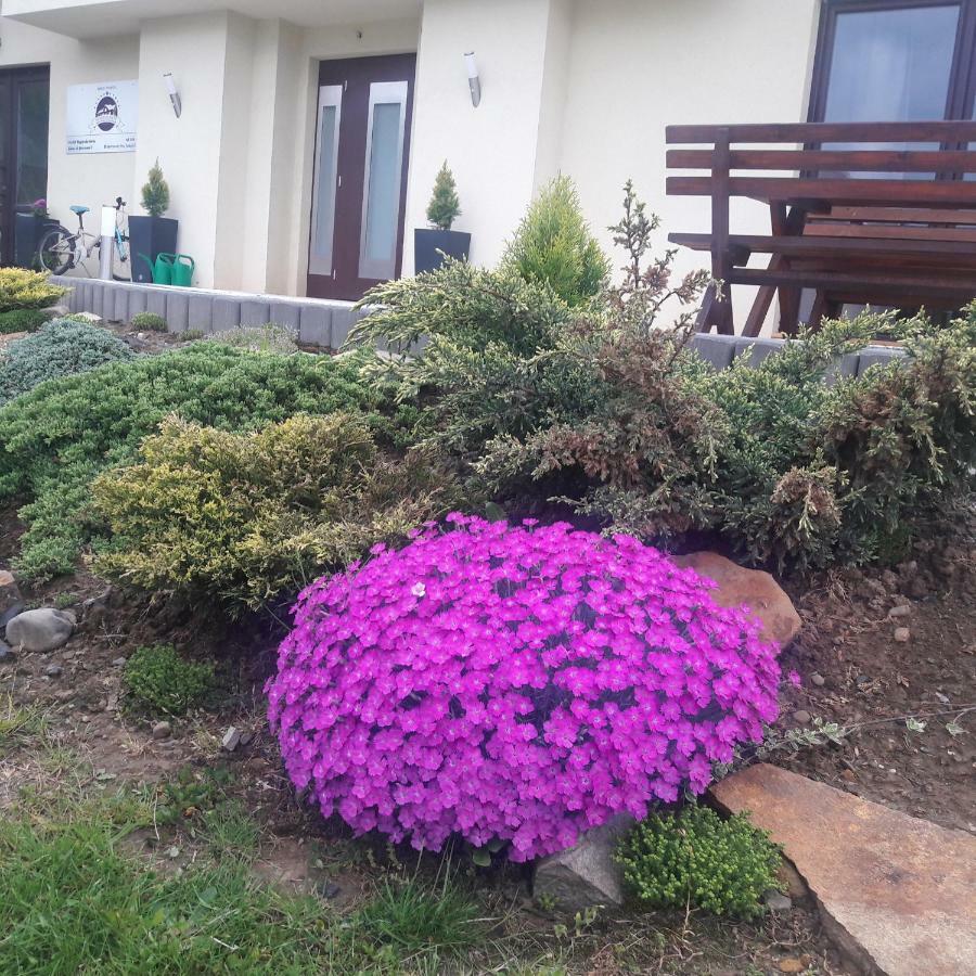 Apartamenty Przy Trakcie Cesarskim Wegierska Gorka Exteriér fotografie